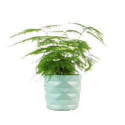 Osłonka Ceramiczna Fala zielony