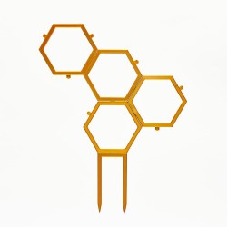 Drabinka Roślinna Plaster Miodu