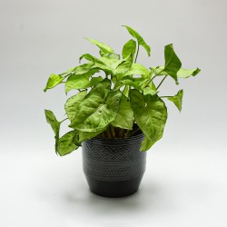 Osłonka Ceramiczna Indian szara