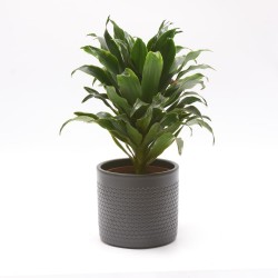 Osłonka Heksagon Czarna