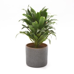 oslonka cermiczna lava Bicolor