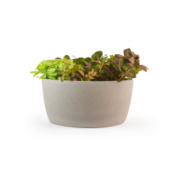 Osłonka Ceramiczna Misa 13 x 29