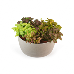 Osłonka Ceramiczna Misa 13 x 29