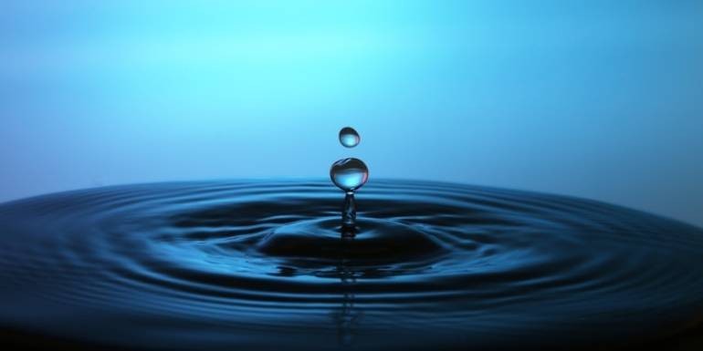 Tajemnice sukcesu w uprawie roślin doniczkowych - Woda cz.1 - Twardość wody